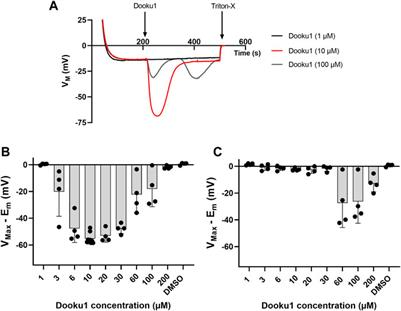 Dual action of Dooku1 on PIEZO1 channel in human red blood cells